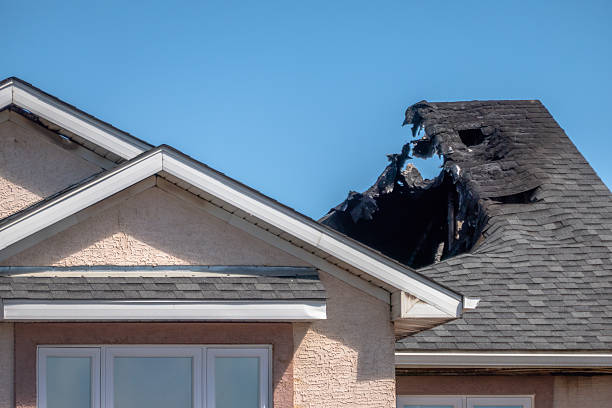 Licensed Content Restoration service in Indian Rocks Beach, FL - Fire Damage Biloxi